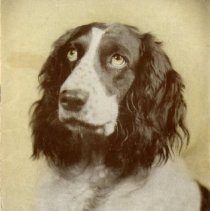 The Osteopathic Magazine, Vol. 27 No. 1