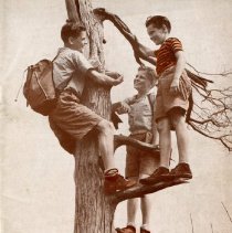 The Osteopathic Magazine, Vol. 30 No. 4