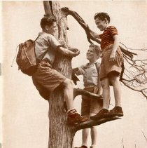 The Osteopathic Magazine, Vol. 30 No. 4