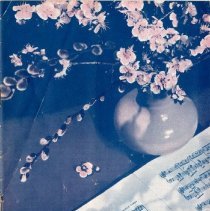 The Osteopathic Magazine, Vol. 30 No. 5