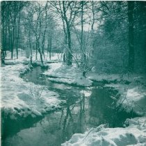 The Osteopathic Magazine, Vol. 36 No. 2