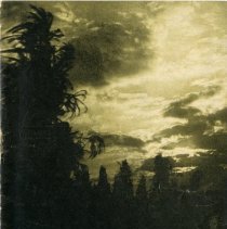 The Osteopathic Magazine, Vol. 32 No. 11