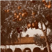 The Osteopathic Magazine, Vol. 33 No. 3