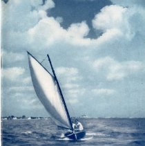 The Osteopathic Magazine, Vol. 34 No. 7