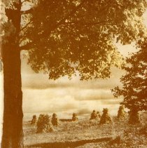 The Osteopathic Magazine, Vol. 35 No. 10