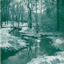 The Osteopathic Magazine, Vol. 36 No. 2