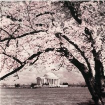 The Osteopathic Magazine, Vol. 36 No. 4