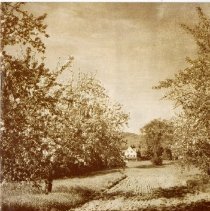 The Osteopathic Magazine, Vol. 36 No. 5