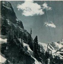 The Osteopathic Magazine, Vol. 37 No. 2