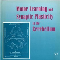 Motor Learning and Synaptic Plasticity in the Cerebellum