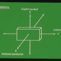 Functional Orientation Slide
