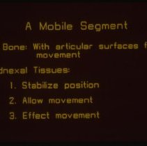 Functional Orientation Slide