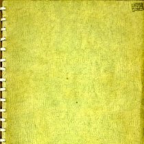 Outline of the Cranial Concept, Second Edition