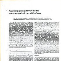 Ascending Spinal Pathways for the Somatosympathetic A and C Reflexes