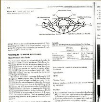 Osteopathic Considerations in Diagnosis and Treatment