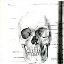 Osteopathic Considerations in Diagnosis and Treatment