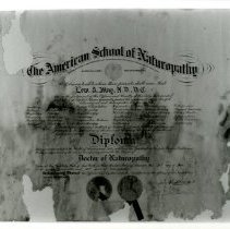 Lewis May Diploma