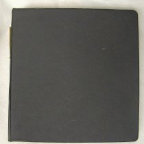 From Swedes to Yanks