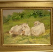 Chiaria Cows of Tuscany