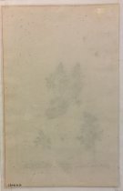 Adianthum album, Plate 219 from Herbarium Blackwellianum