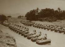 Avenue of Ram Sphinxes