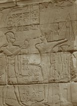 Wall Relief of Alexander the Great before Ithyphallic Amen-Re