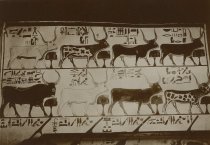 Tomb of Nefertari Wall Painting
