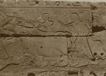 Court of Rameses II Wall Relief