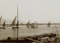 Felukas on the Nile