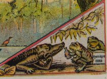 Ayer's Ague Cure Trade Card