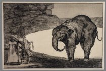 Quien se pondrá el cas - cabel al gato? (Who will bell the cat?) / Disparate de bestia (Animal folly) / Otras leyes por el pueblo