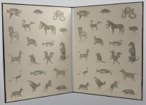 Ornithological Quadrupeds; Association for Creative Zoology