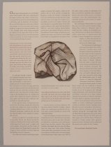 Ornithological Quadrupeds Text Page