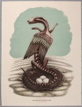 Amazonian Lizard Hawk