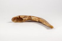 Shofar