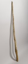 Narwhal Tusk