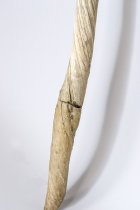 Narwhal Tusk