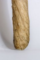 Narwhal Tusk