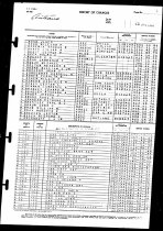 Muster Anteaus Jan 1944