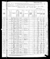 1880 Census Muskingum Co