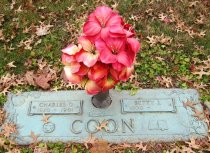 87981508_133341023705