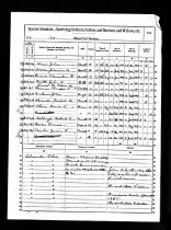 1890 Veteran Census