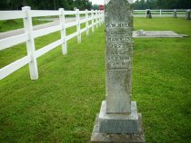 39991368_124882579367