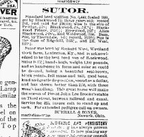 News-oh-ne_da_ad.1888_04_23_0005