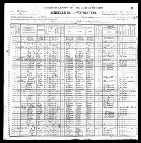 1900 Census