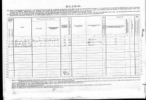 1880 Census Schedules Defects, Dependendent And Delinquent Classes