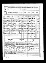 1890 Census Washington Twp