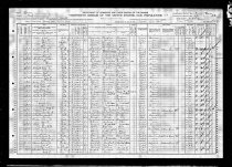 1910 Census