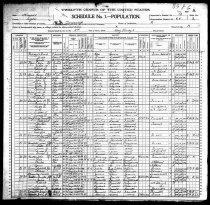1900 Census