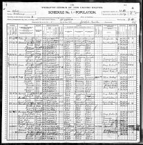 1900 Census
